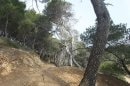 sentier du littoral, près du Resquilladou
